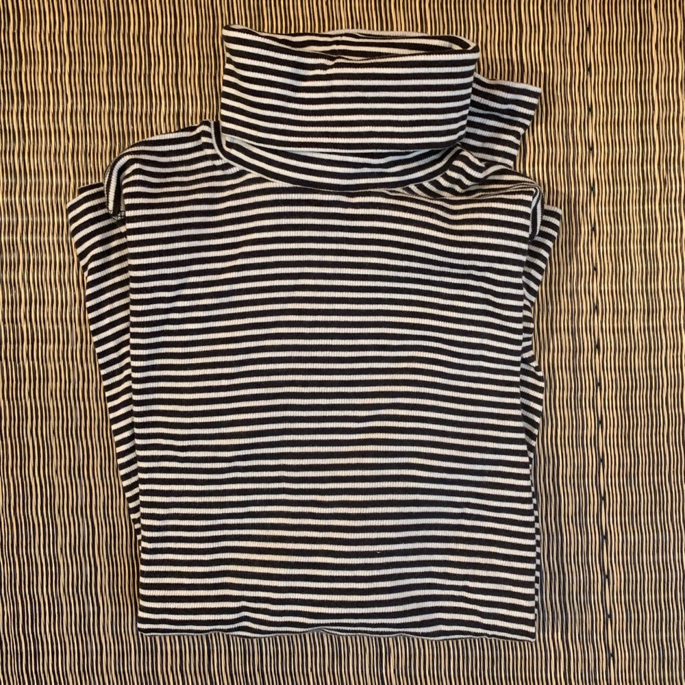 Everlane microrib Pima turtleneck